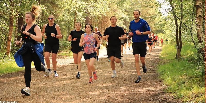 Tren Wellness 2026: Castor Oil hingga Gut Health Makin Digemari