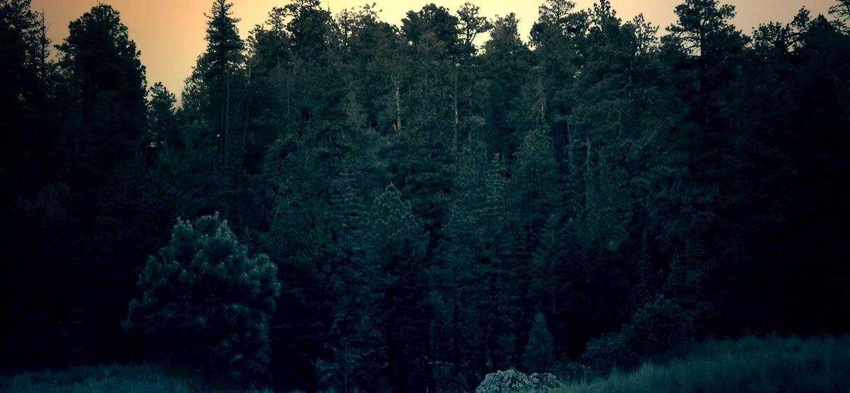 Cara memulai meditasi pagi untuk pikiran lebih tenang